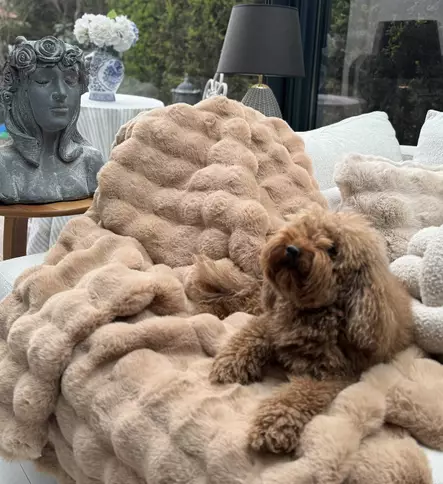 Sofföverdrag Aberto Design Bubble Brun Polyester 150x100 cm - Överkast och plädar - 8684283664634 - 2