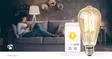 SmartLife LED vintage lampa | Wi-Fi | E27 | 806 lm | 7 W | Varm Vit | 1800 - 3000 K | Glas | Android / IOS | ST64 | 1 st. - Ljuskällor - 5412810335404 - 90