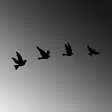 Väggdekor Metall Wallity Pigeons Svart Metall 18x20 cm 15x16 cm 12x15 cm 13x15 cm 4 Delar - Dekorationer, prydnadsföremål - 8683342941044 - 5