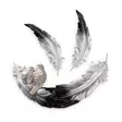 Dekorativ Väggaccessoar Aberto Design Love Birds Svart Vit Polyester 41x21x4 cm 26x8x2 cm - Dekorationer, prydnadsföremål - 8683743851874 - 1