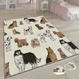 Matta Conceptum Csbrghl168 Flerfärgad Polyester 160x230 cm - Stora och medelstora mattor - 8682870688384 - 1