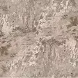 Matta Conceptum Eexfab844 Flerfärgad Polyester 120x180 cm - Stora och medelstora mattor - 8682870073814 - 3