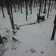 - Åtelkameror - 5949066516504 - 13