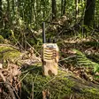 - Walkie-talkies och megafoner - 5949066538964 - 17