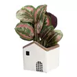 Ruukku Talo 20 cm 4 Living Collection - Sementtinen taloteemainen suojaruukku - Hushållsprodukter - 6410416435374 - 2