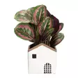 Ruukku Talo 20 cm 4 Living Collection - Sementtinen taloteemainen suojaruukku - Hushållsprodukter - 6410416435374 - 3