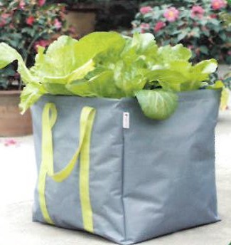 Planteringskasse MagPro Garden - Planteringskärl och tillbehör - 6430050629724 - 1