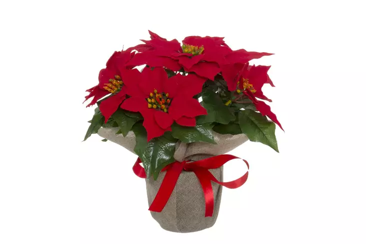 Joulut=C3=A4hti ruukussa 33 cm punainen - Juldekorationer och textilier - 6410416108254 - 1