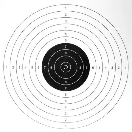 Pricktavla 20 st 40 x 40 cm - Luftvapenammunition och tillbehör - 6410412701145 - 1
