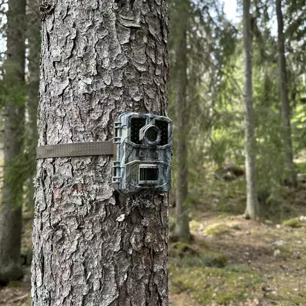Viltkamera 4K Retki - IP66 övervakningskamera - Åtelkameror - 6418536032855 - 2