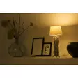 Smart glödtråd LED-lampa med Wi-Fi - Ljuskällor - 8712412586615 - 53