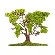 Väggdekor Trä Wallxpert Tree Green Brown MDF 71x1x59 cm - Dekorationer, prydnadsföremål - 8683342206815 - 1