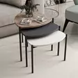 Nestingbord Hanah Home Lenny Multicolor Vit Antracit Valnöt Spånskiva 45x45x45 cm - Bord - 8683742465805 - 2