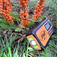PNI DYN300 bärbar radio med dynamo, solcellsladdning, ficklampa, 4000 mAh powerbank, SOS, IPX3, orange - Radioapparater - 5949066537325 - 18