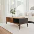 Soffbord Hanah Home Tarz Antracit Ek Spånskiva 90x39x50 cm - Soffbord - 8684283421145 - 2