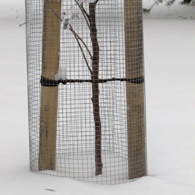 Myyr=C3=A4verkko 1,20 x 250 m galvanoitu - Insektsnät och djurnät - 6430040621035 - 1