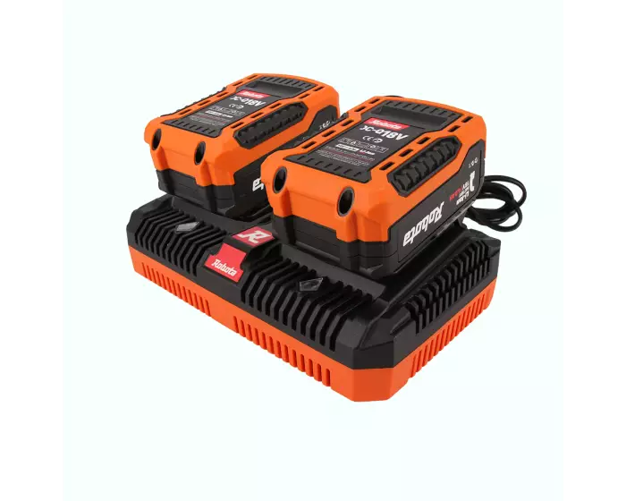  - Batterier och laddare - 6438212141015 - 1