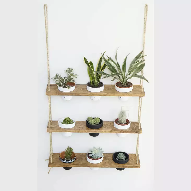 Vägghylla Hanah Home Gar006 Valnöt Massivt Trä 60x13x1,3 cm - Vägghyllor - 8681875395105 - 1