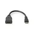High Speed HDMI kabel med Ethernet | HDMI Mini kontakt | HDMI Utgång | 4K@30Hz | 10.2 Gbps | 0.20 m | Rund | PVC | Svart | Låda - HDMI-kablar - 5412810427116 - 10