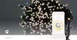 SmartLife Julbelysning | Sträng | Wi-Fi | Varm Vit | 400 LED's | 20.0 m | Android / IOS - Dekorationsljus - 5412810404216 - 90