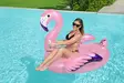 Uimalelu Luxury flamingo 153x143 cm - Vattenleksaker - 6941607311196 - 13