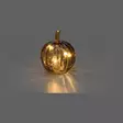 Glaspumpa med LED-belysning 9 cm assorterad Finnlumor - Dekorativ pumpa i glas med timer (inkl. batterier) - LED-ljus och lyktor - 6410416580326 - 10
