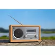 DABMAN 30 Mobil DAB+ / FM-radio Trä - Radioapparater - 4024035129006 - 54