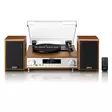 HiFi Stereoanläggning med skivspelare, DAB+/FM-radio och Bluetooth® Wood - Skivspelare och nålar - 8711902080046 - 10