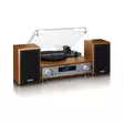 HiFi Stereoanläggning med skivspelare, DAB+/FM-radio och Bluetooth® Wood - Skivspelare och nålar - 8711902080046 - 12