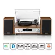 HiFi Stereoanläggning med skivspelare, DAB+/FM-radio och Bluetooth® Wood - Skivspelare och nålar - 8711902080046 - 1
