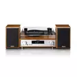 HiFi Stereoanläggning med skivspelare, DAB+/FM-radio och Bluetooth® Wood - Skivspelare och nålar - 8711902080046 - 11