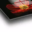 Glastavla Wallity Flerfärgad Glas 70x100 cm - Tavlor och ramar - 8683742114376 - 9