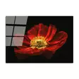 Glastavla Wallity Flerfärgad Glas 70x100 cm - Tavlor och ramar - 8683742114376 - 1