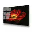 Glastavla Wallity Flerfärgad Glas 70x100 cm - Tavlor och ramar - 8683742114376 - 6
