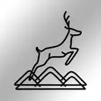 Väggdekor Metall Wallity Amentes Svart Metall 49x51 cm - Dekorationer, prydnadsföremål - 8684283349456 - 5