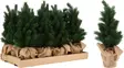 Mänty juuttiruukussa 45 cm - Hängande blomkrukor och vaser - 8721037198516 - 1