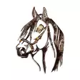 Väggdekor Metall Wallity Horse Flerfärgad Metall 38x53 cm 2 Delar - Dekorationer, prydnadsföremål - 8683743851706 - 1