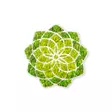 Väggdekor Trä Wallity Daisy Grön Vit MDF 44x44 cm - Dekorationer, prydnadsföremål - 8683342206716 - 1