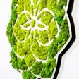 Väggdekor Trä Wallity Daisy Grön Vit MDF 44x44 cm - Dekorationer, prydnadsföremål - 8683342206716 - 4