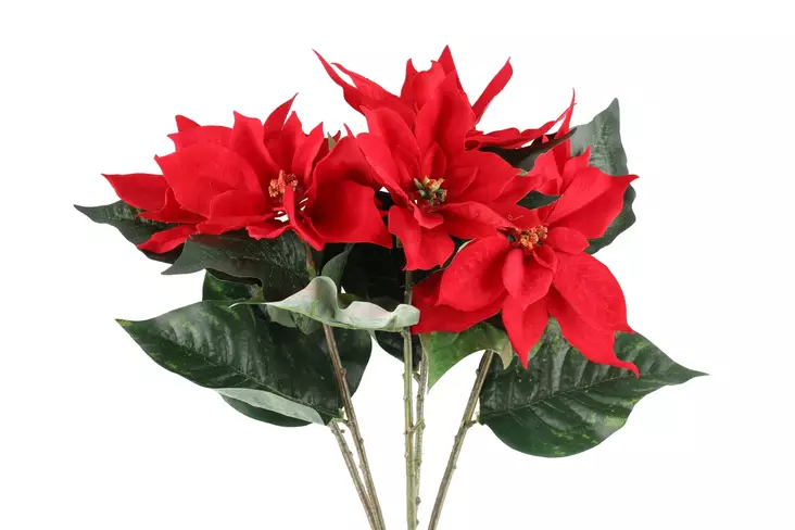 Joulut=C3=A4hti kimppu punainen Winteria - Juldekorationer och textilier - 6410416183916 - 1