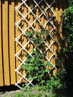 Spaljé för vägg 0,9 x 2 m vit - Blomsterställ och växtstöd - 6430040621776 - 1
