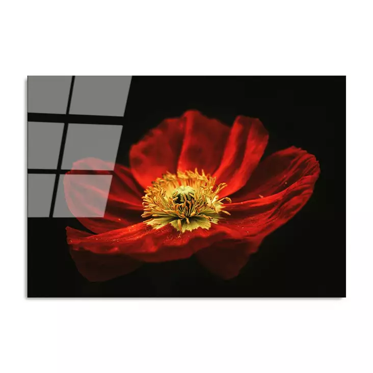 Glastavla Wallity Flerfärgad Glas 70x100 cm - Tavlor och ramar - 8683742114376 - 1