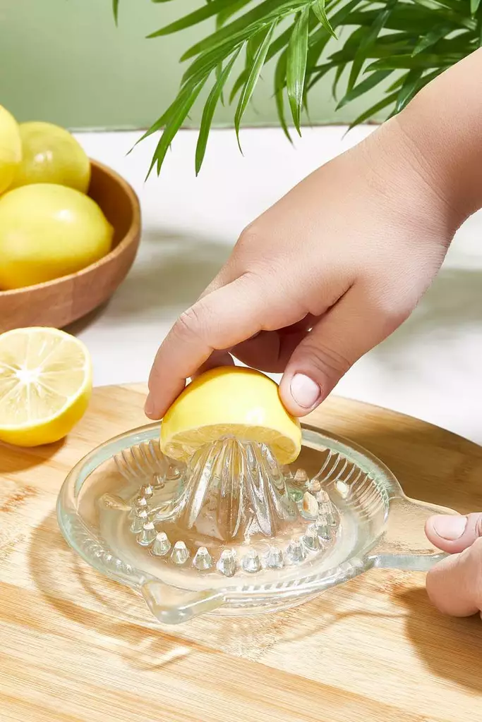 Citruspress Hermia Transparent Glas 16,5x16,5 cm - Köksredskap - 8684283785056 - 1