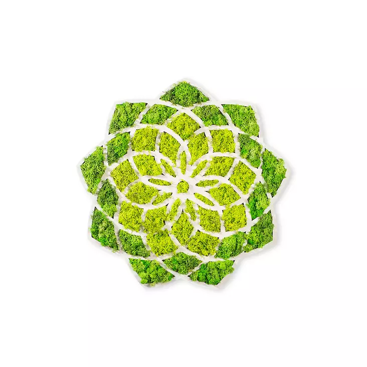 Väggdekor Trä Wallity Daisy Grön Vit MDF 44x44 cm - Dekorationer, prydnadsföremål - 8683342206716 - 1