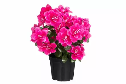 Pinkki Atsalea - Hängande blomkrukor och vaser - 6410416527307 - 1