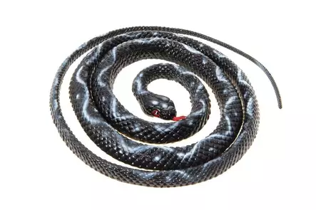 Fågelskrämma orm 130 cm - Skadedjursbekämpning - 6438168116167 - 1