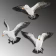 Dekorativ Objekt Aberto Design Birds Flerfärgad Polyester 25x5x11 cm 20x4x17 cm 21x6x13 cm - Dekorationer, prydnadsföremål - 8684282136187 - 5