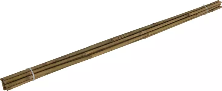 Tukikeppi bambu 10 kpl/pkt - Blomsterställ och växtstöd - 8719987498817 - 1