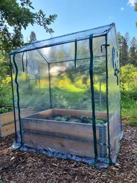 Kasvihuone lavakaulukseen=20 - Växthus - 6430068432477 - 1