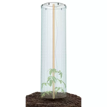 Tomaatin kasvatussuoja=20 - Planterings- och odlingsmaterial - 5905197383798 - 2